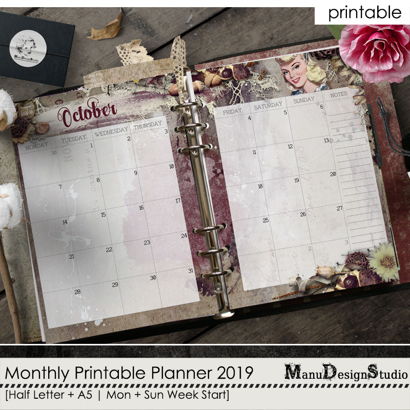 Monthly Printable Planner Inserts 2019 