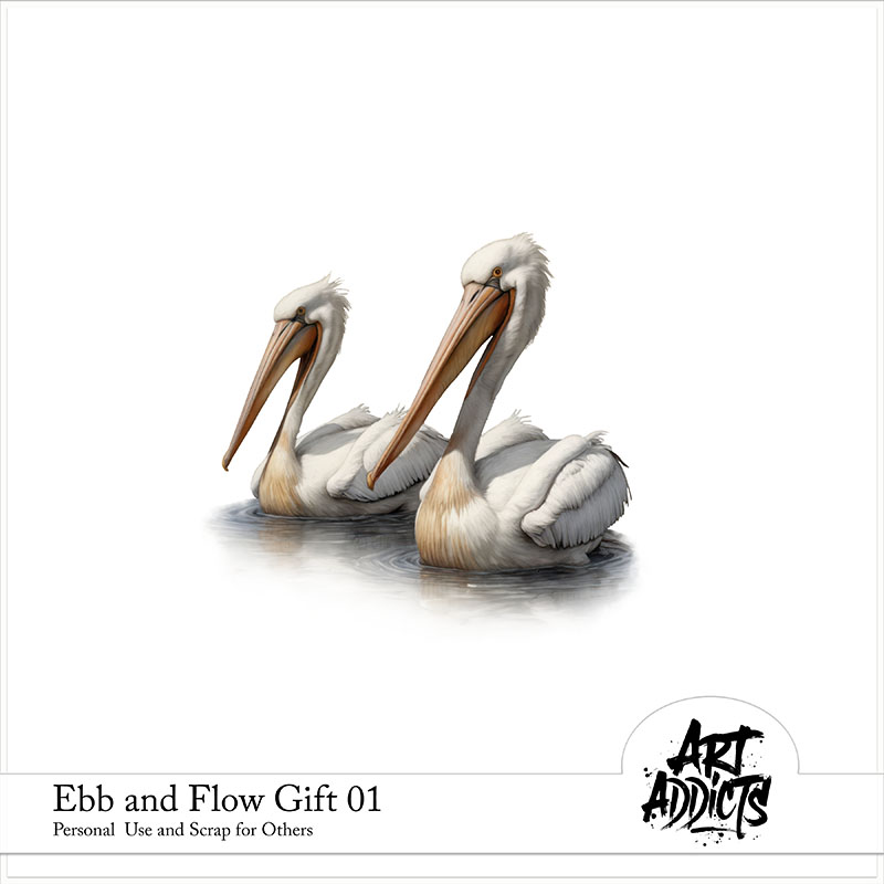 Ebb and Flow Gift 01