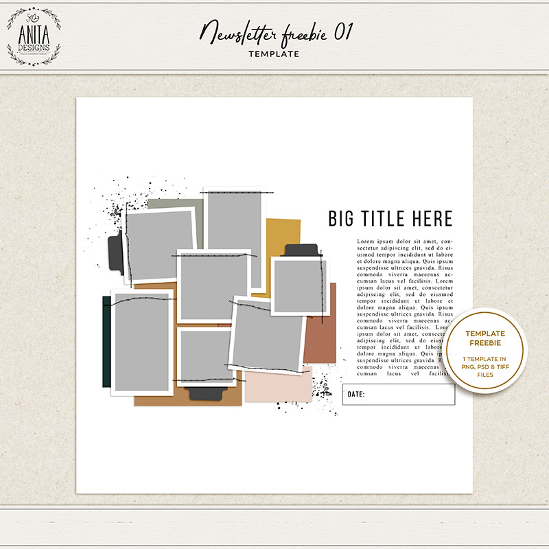 Newsletter Freebie 01 | Template