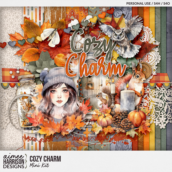Cozy Charm Mini Kit by Aimee Harrison