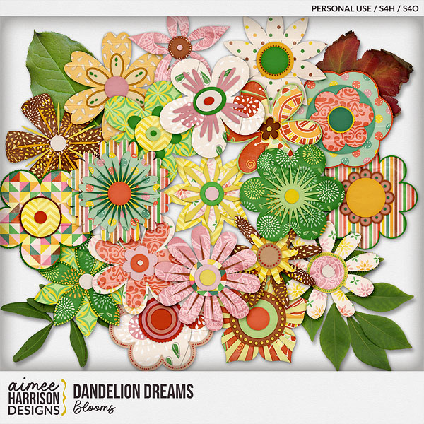 Dandelion Dreams Blooms by Aimee Harrison