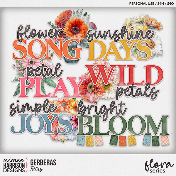 Gerberas Titles by Aimee Harrison