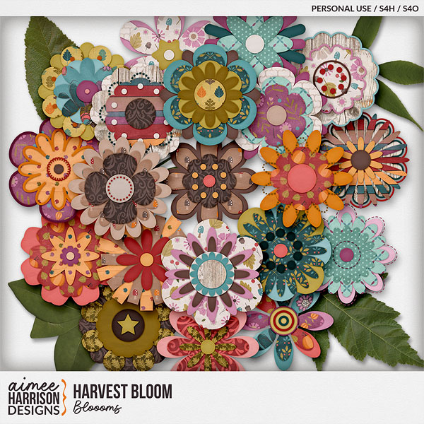 Harvest Bloom Blooms by Aimee Harrison