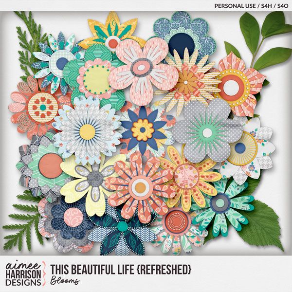 This Beautiful Life {refreshed} Blooms by Aimee Harrison