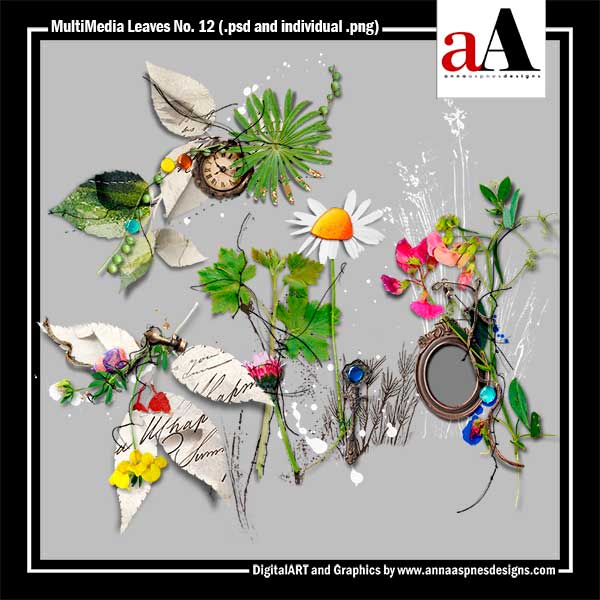 MultiMedia Leaves No 12