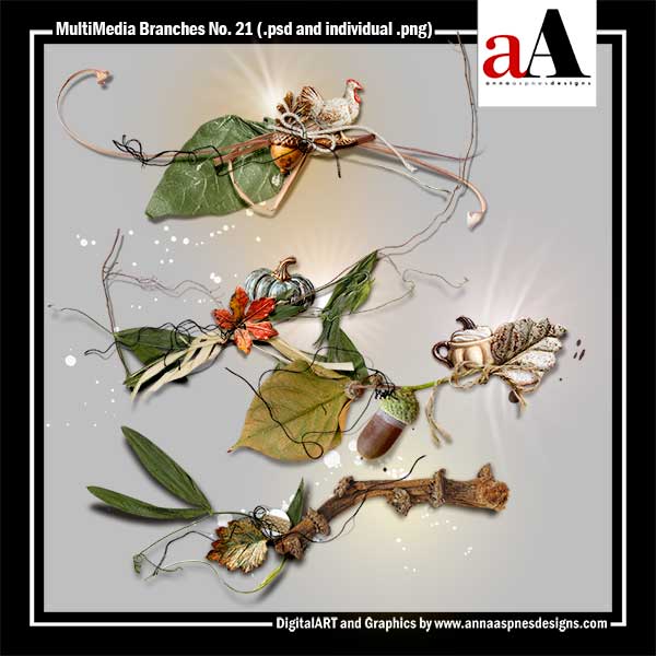 MultiMedia Branches No 21