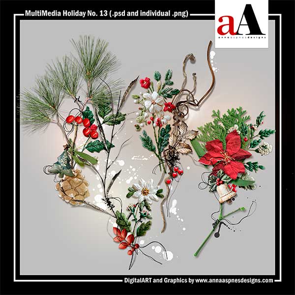 MultiMedia Holiday No 13
