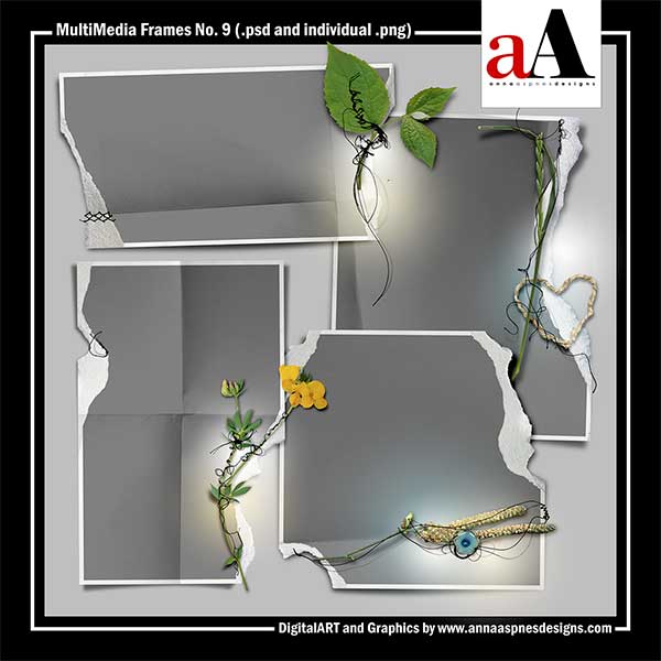 MultiMedia Frames No 9
