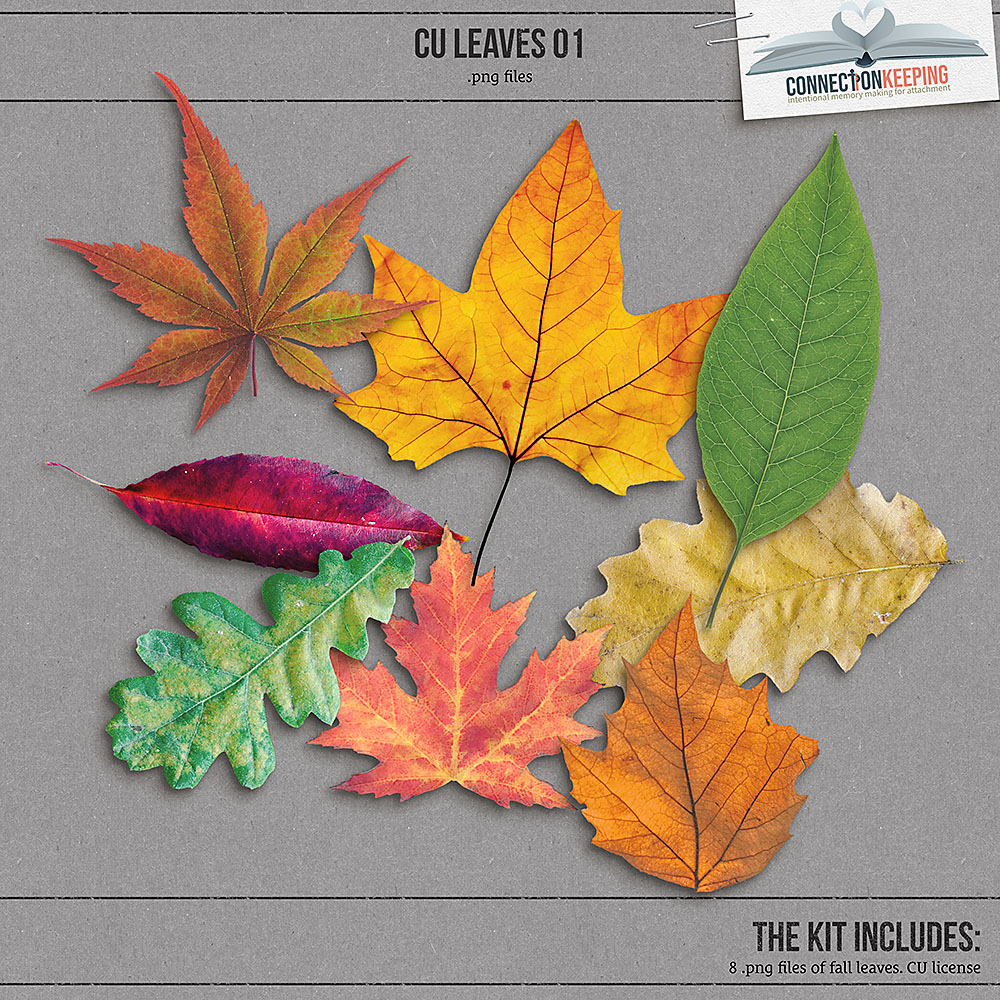 CU Leaves 01