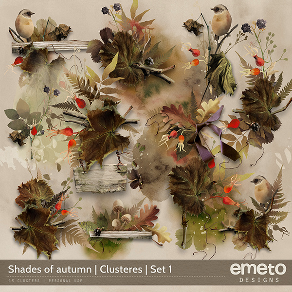 Shades of Autumn Clusters 01