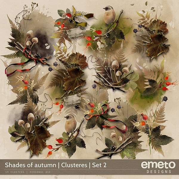 Shades of Autumn Clusters 02