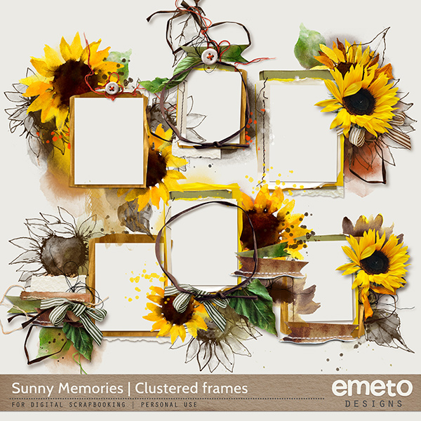 Sunny Memories Clustered Frames