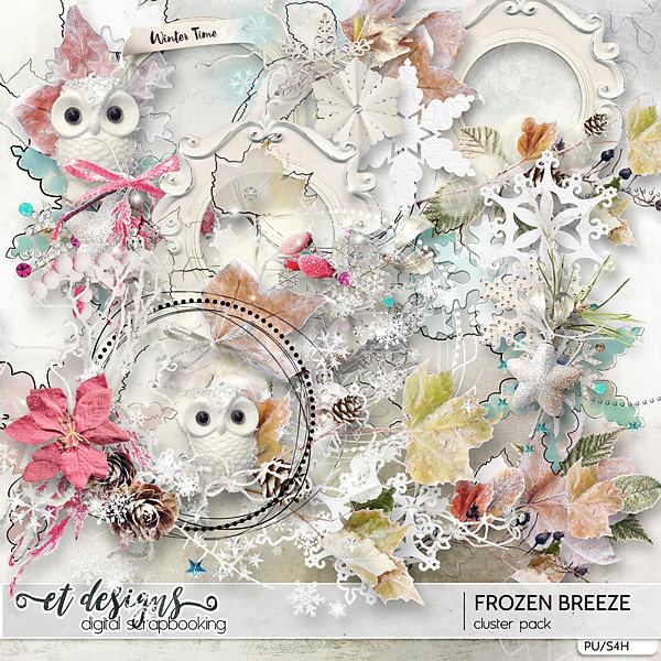 Frozen Breeze Clusters by et designs