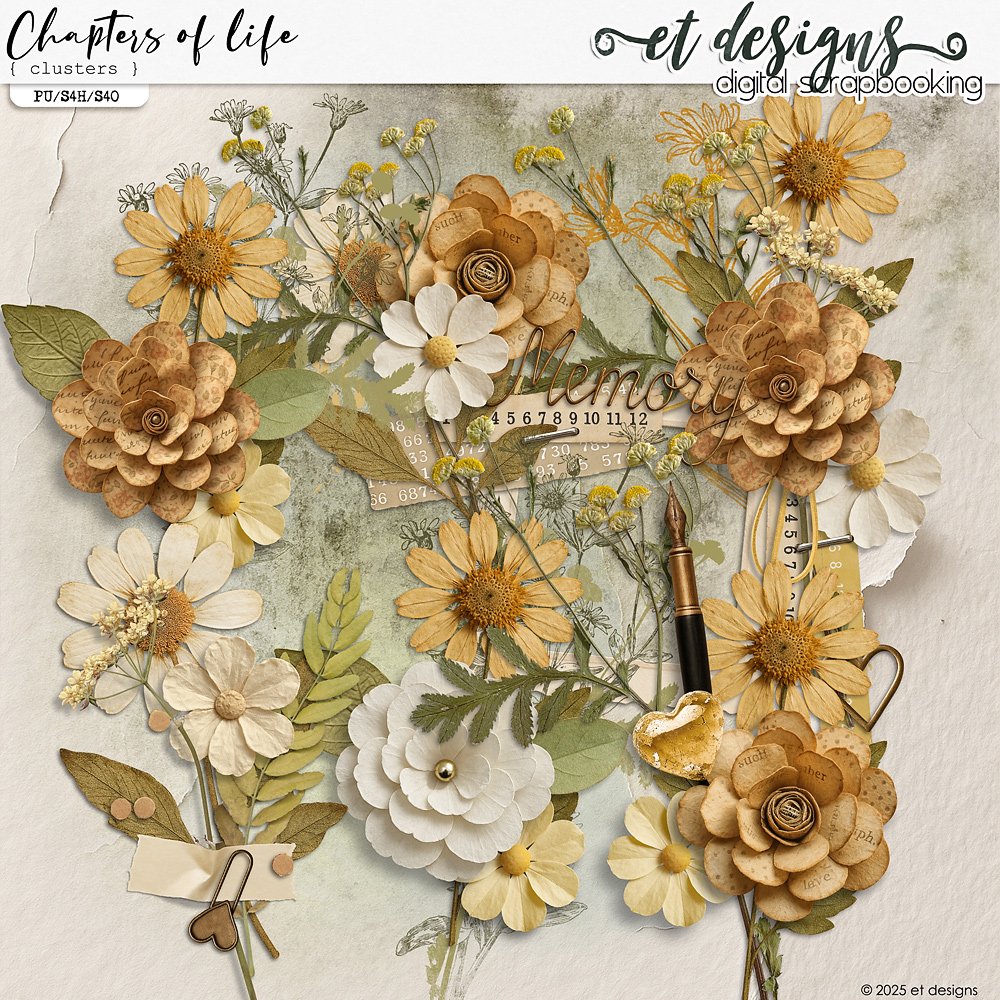 Chapters of Life Clusters by et designs