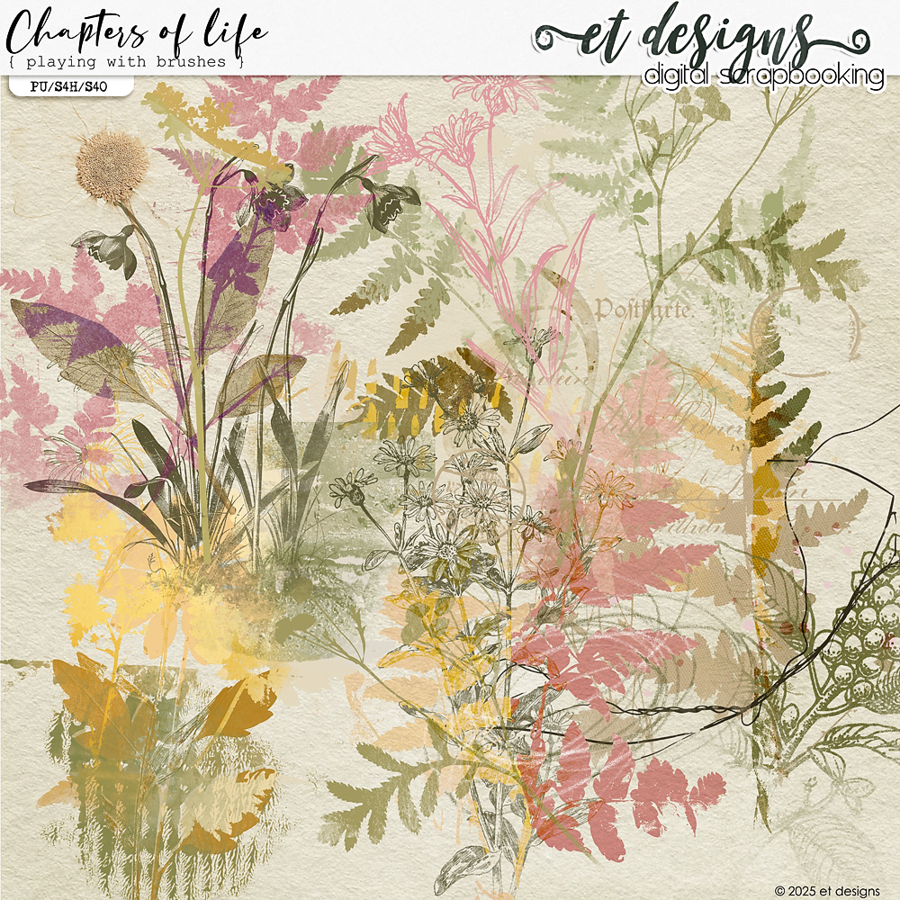 Chapters of Life Playing with Brushes by et designs