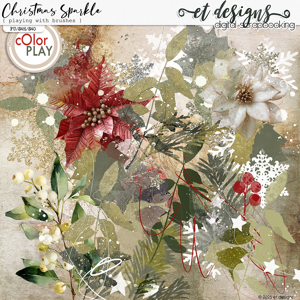 Christmas Sparkle Playing with Brushes by et designs