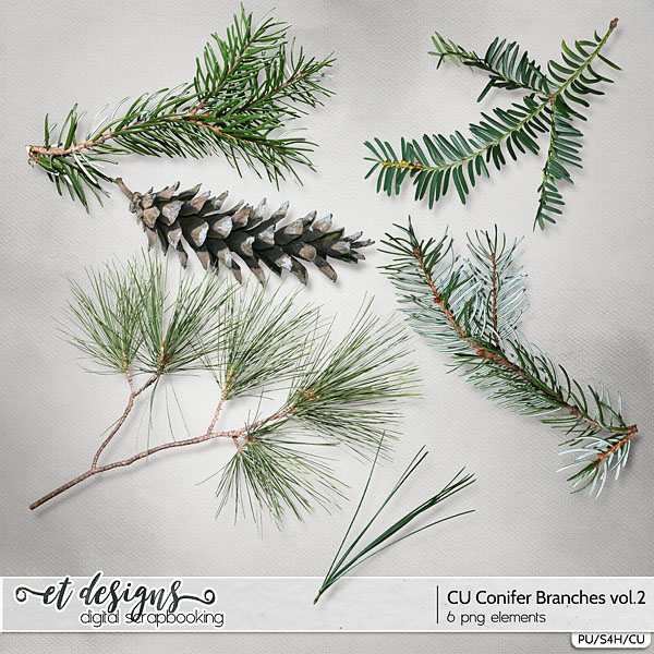 CU Conifer Branches vol.2