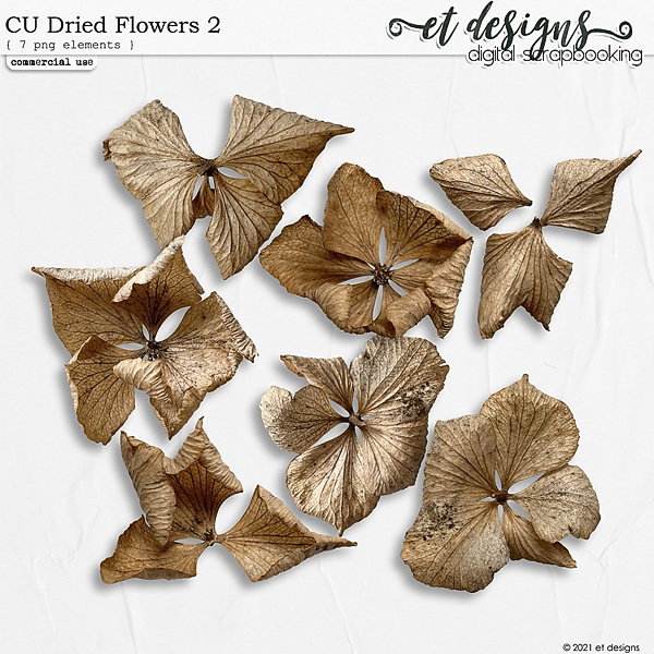 CU Dried Flowers 2