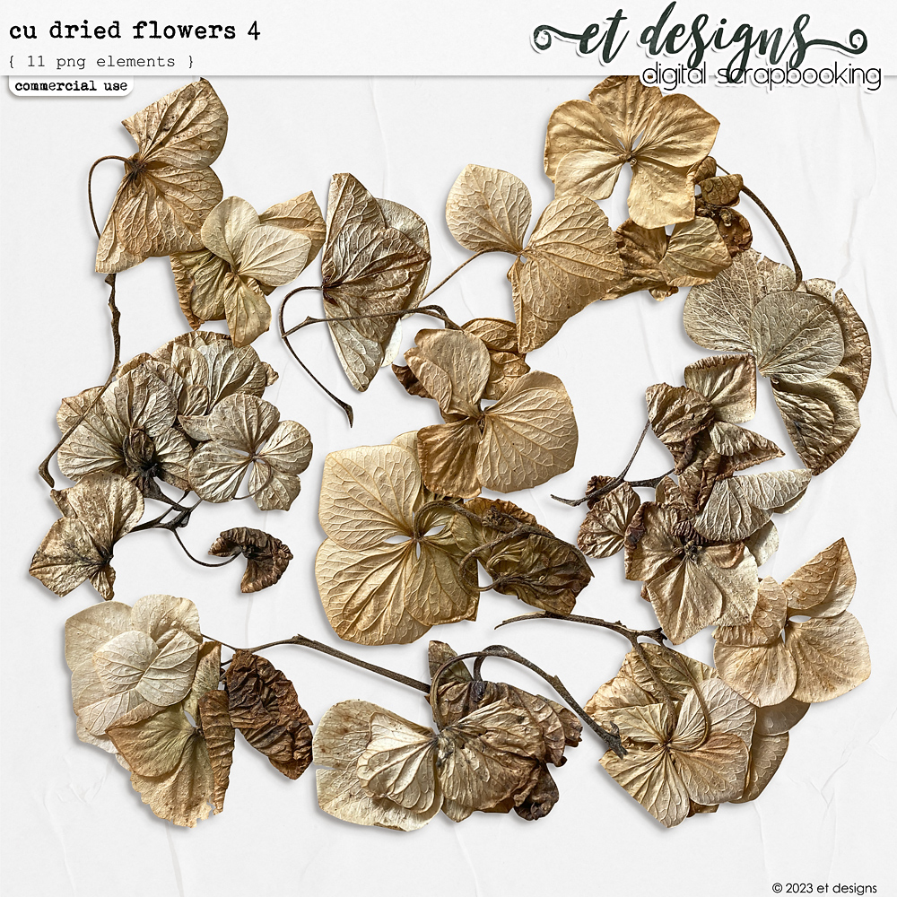 CU Dried Flowers 4 by et designs