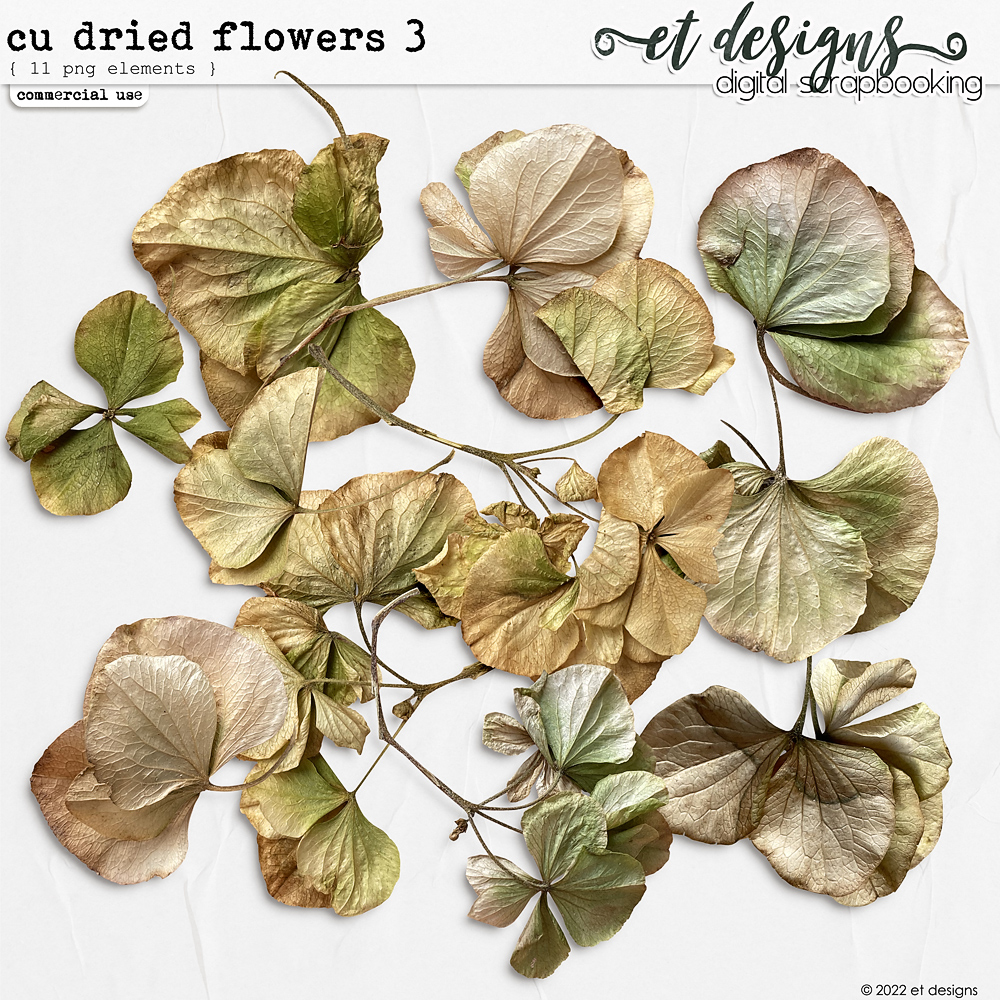 CU Dried Flowers 3 by et designs