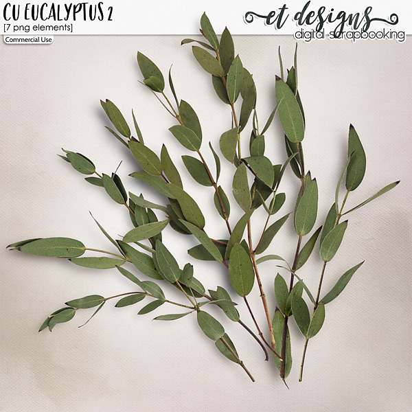 CU Eucalyptus vol.2