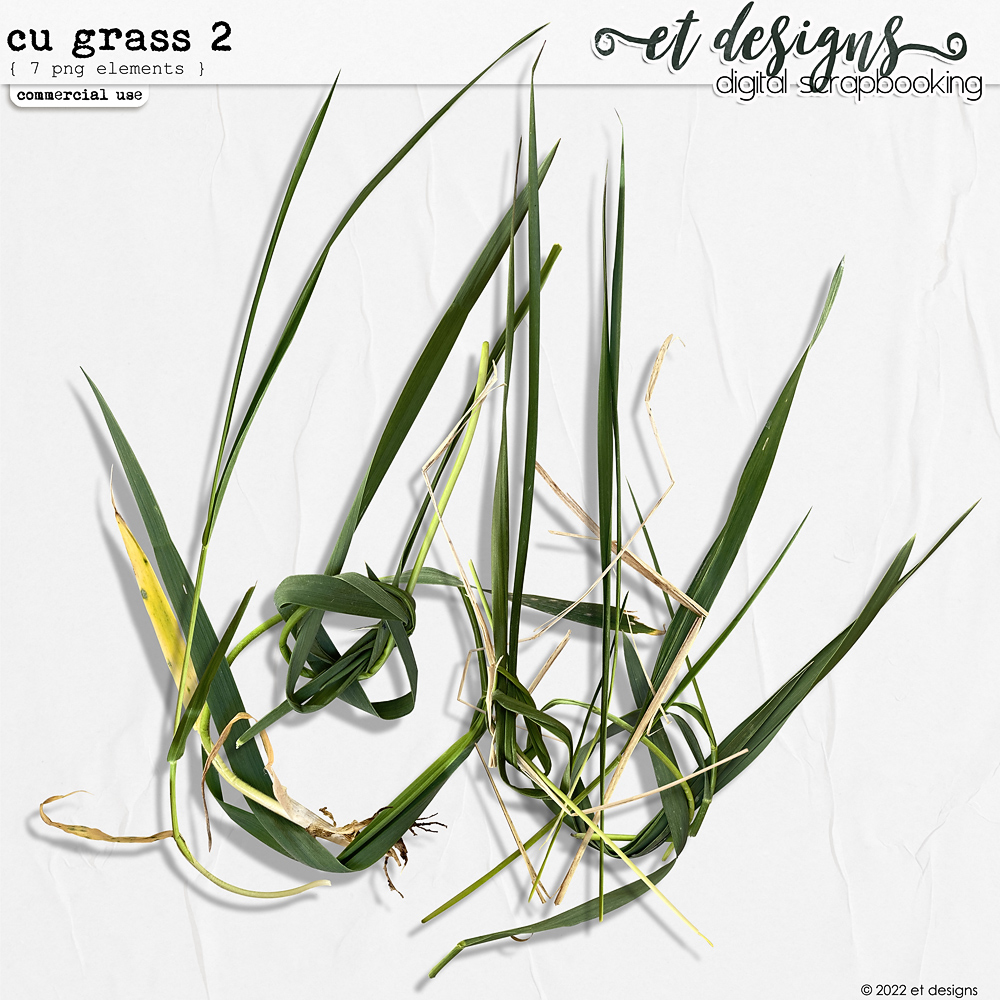 CU Grass 2 by et designs