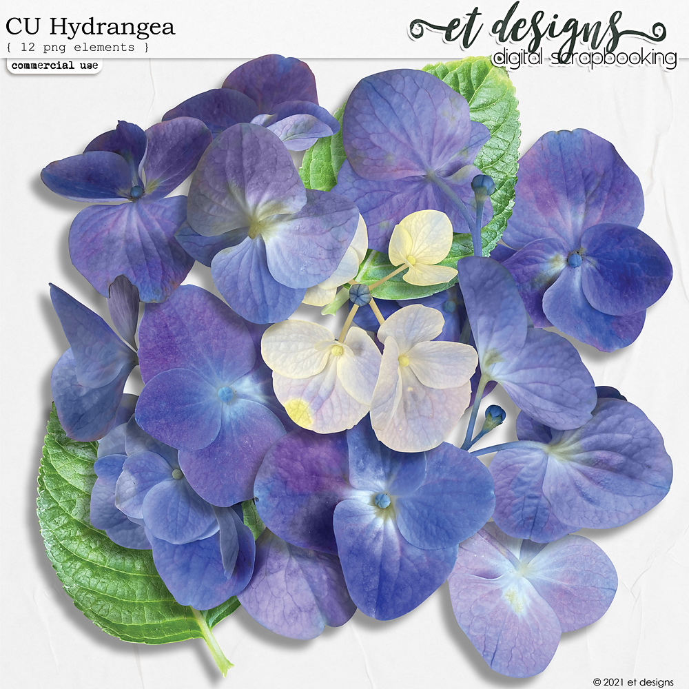 CU Hydrangea by et designs