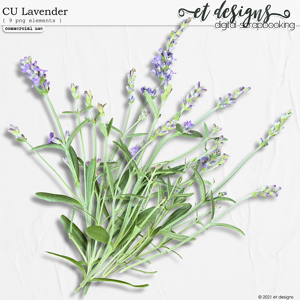 CU Lavender by et designs