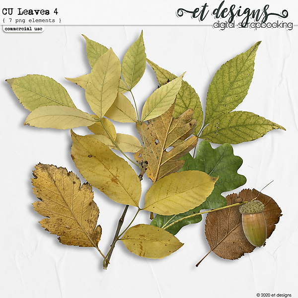CU Leaves vol.4