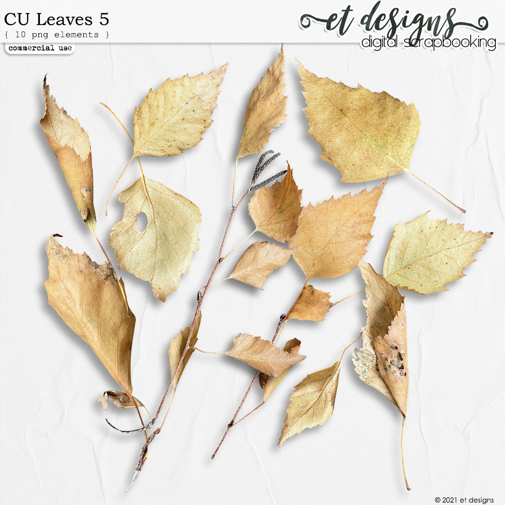 CU Leaves 5 by et designs