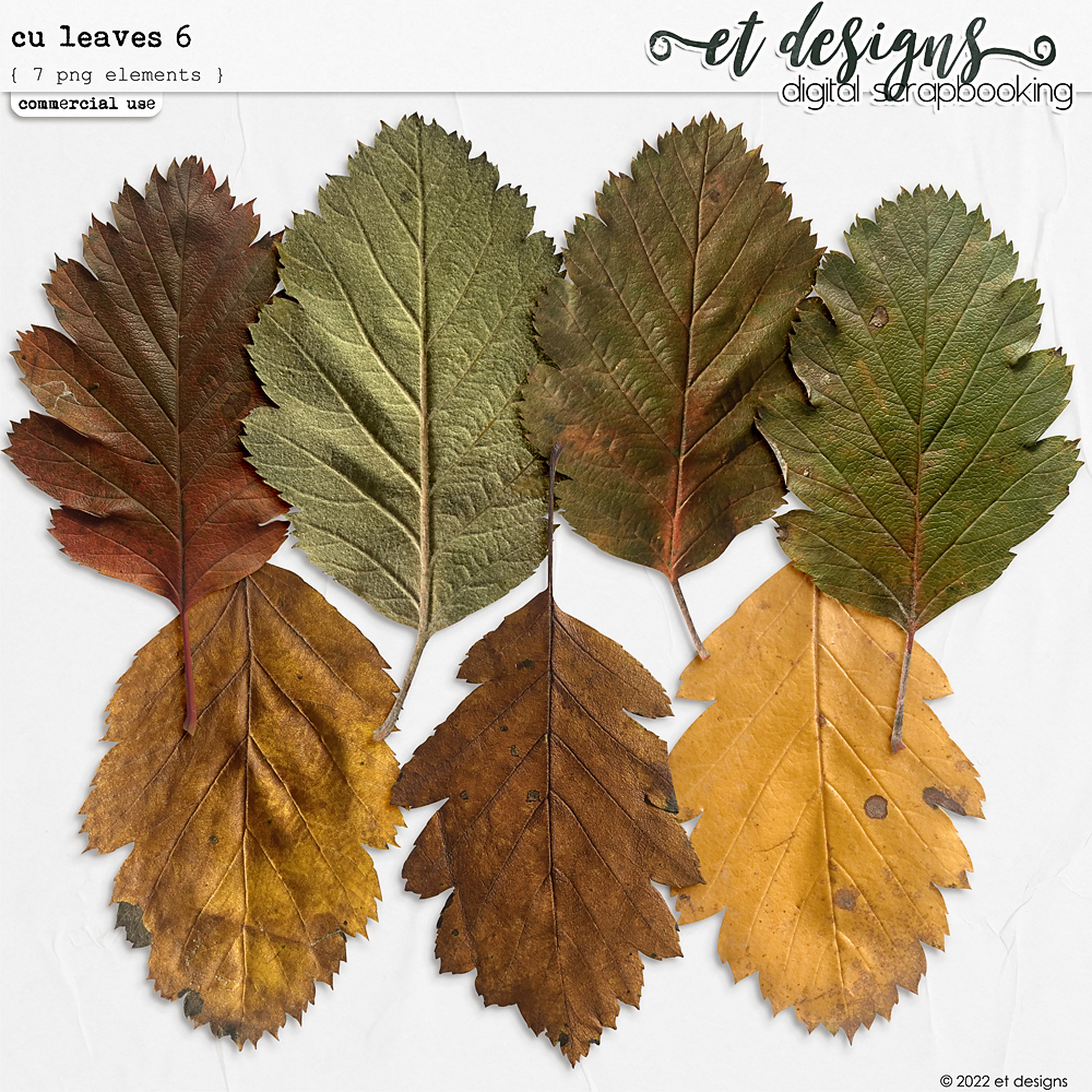 CU Leaves 6 by et designs