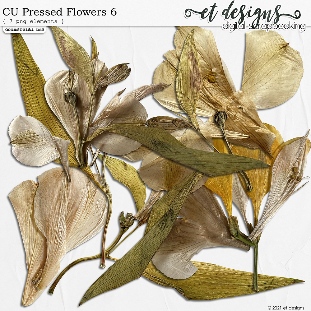 CU Pressed Flowers 6 by et designs
