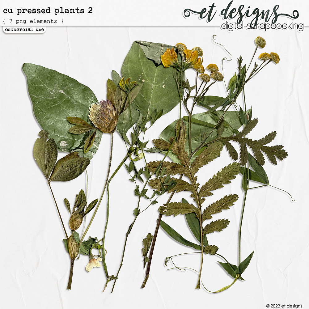 CU Pressed Plants 2 by et designs