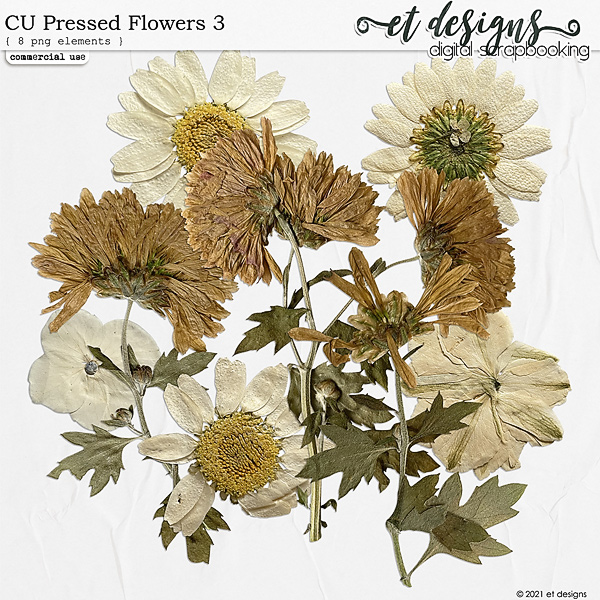 CU Pressed Flowers 3