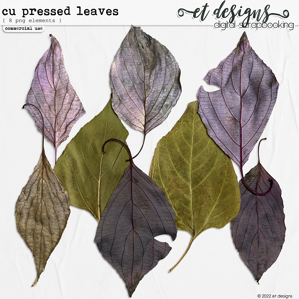 CU Pressed Leaves by et designs