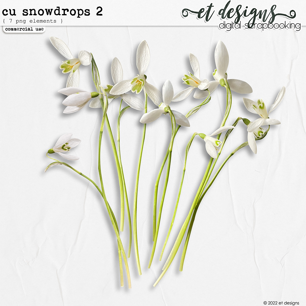 CU Snowdrops 2 by et designs