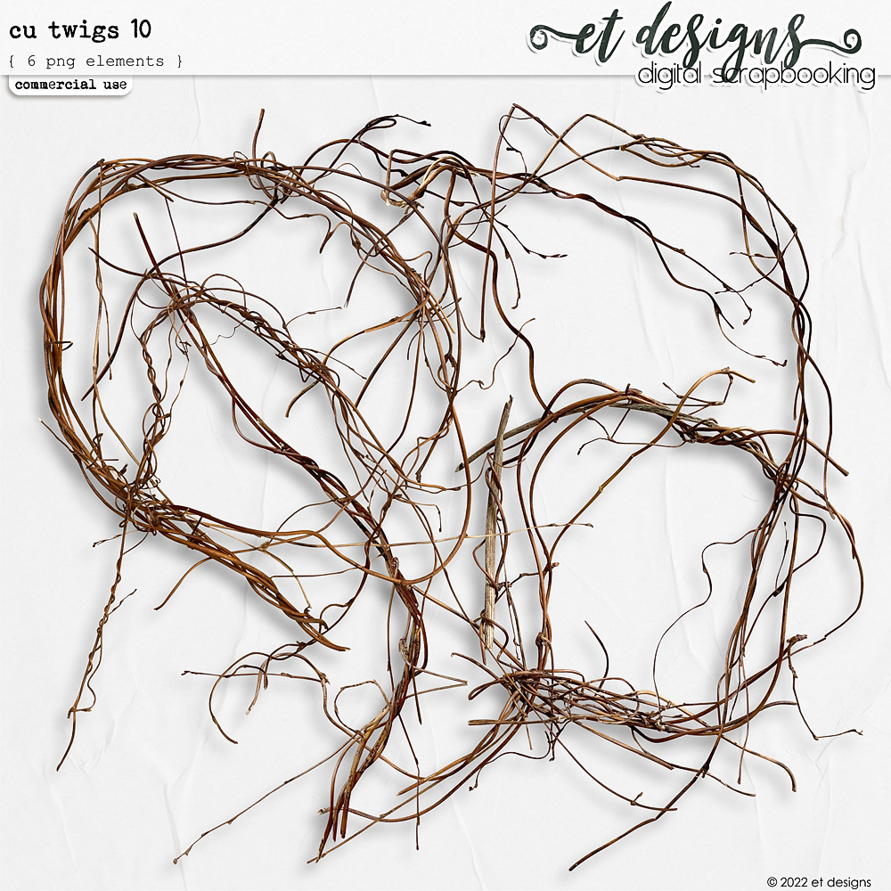 CU Twigs 10 by et designs