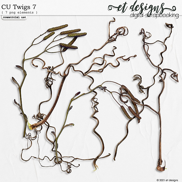 CU Twigs 7