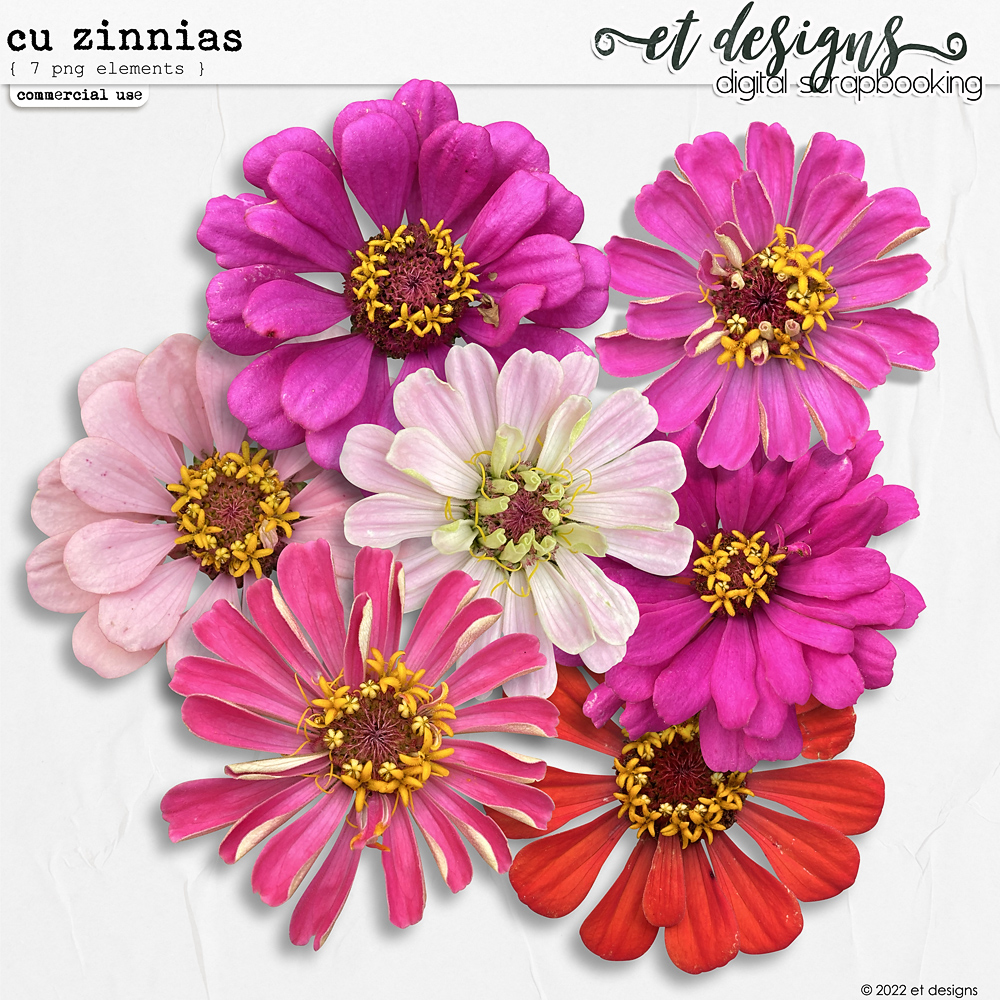 CU Zinnias by et designs