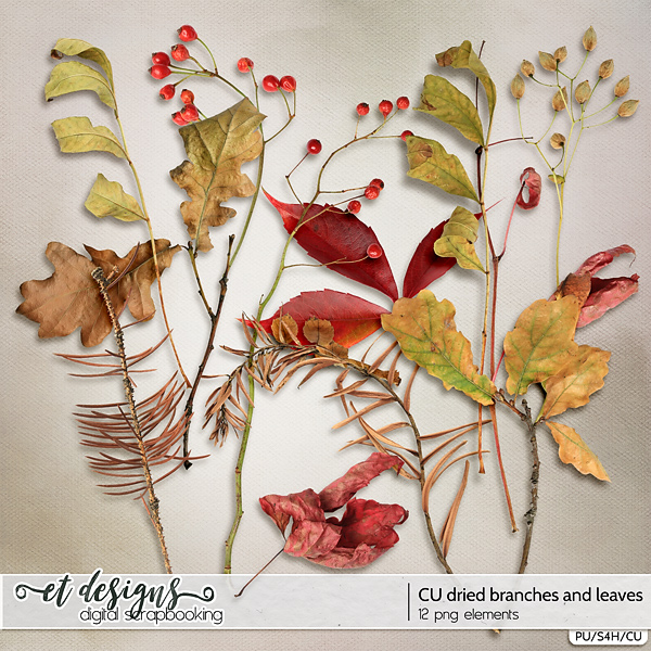 CU Dried Branches and Leaves