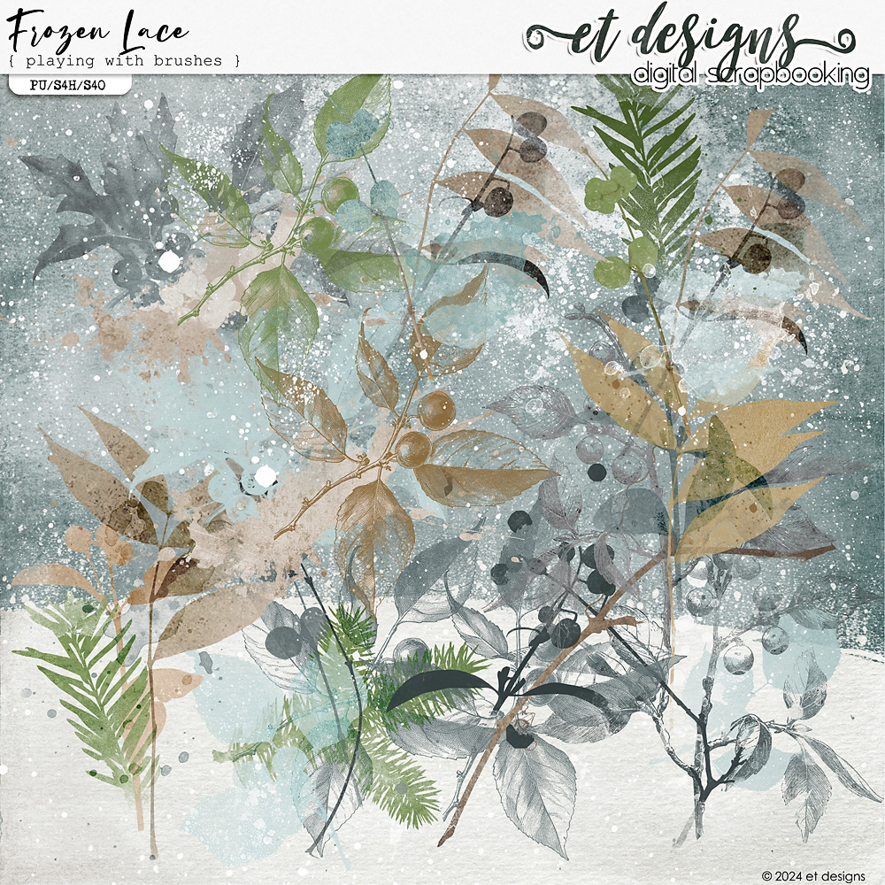 Frozen Lace Playing with Brushes by et designs
