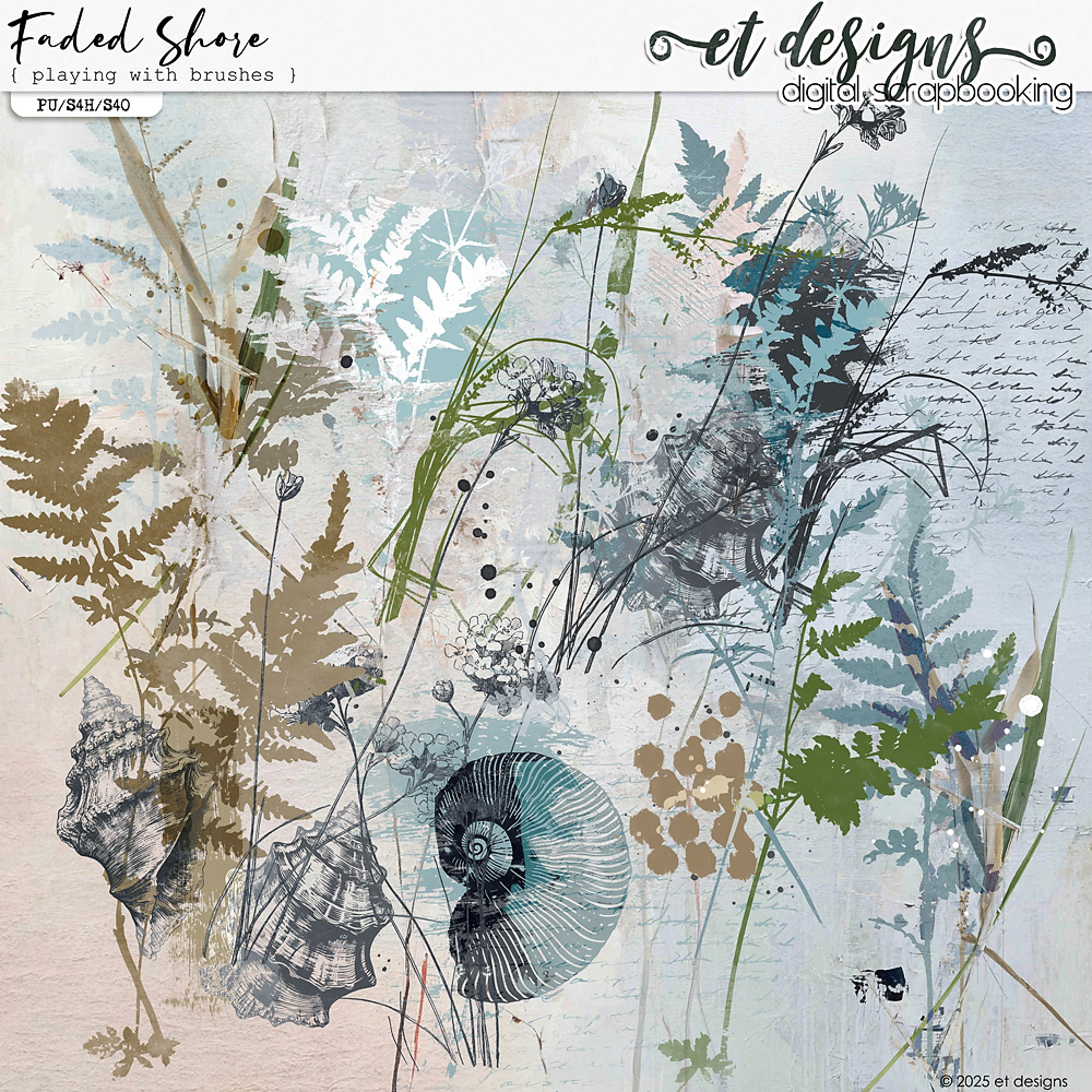 Faded Shore Playing with Brushes by et designs