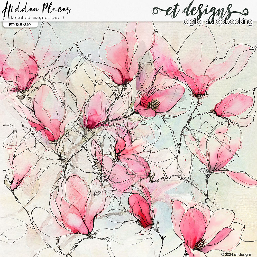 Hidden Places Sketched Magnolias by et designs