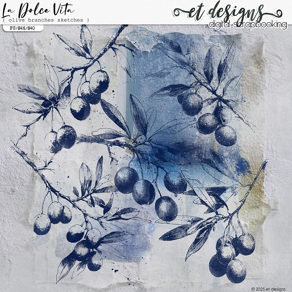 La Dolce Vita Olive Branches Sketches by et designs
