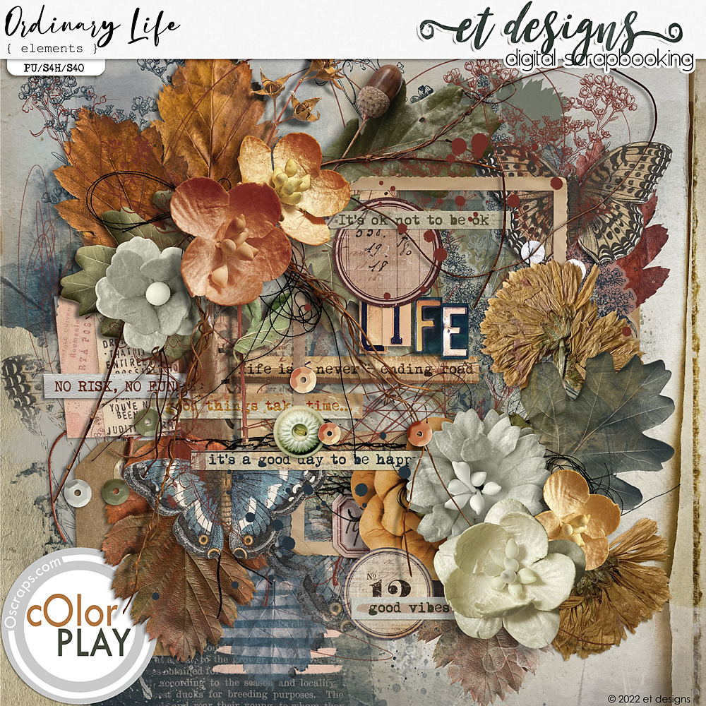 Ordinary Life Element Pack by et designs