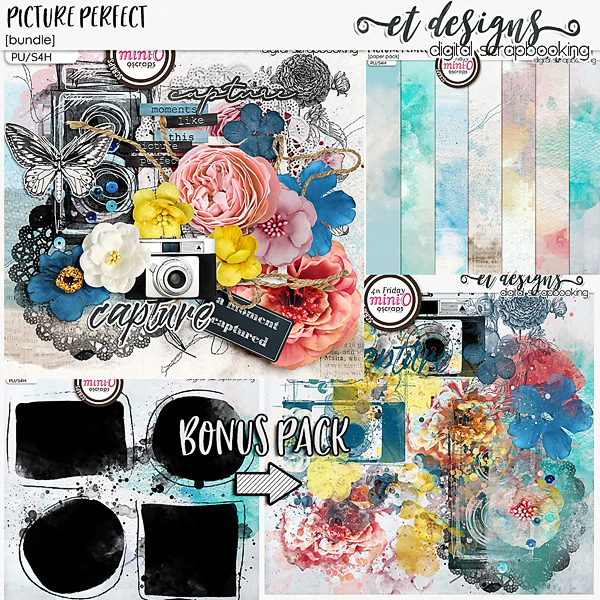 Picture Perfect Bundle & FREE with purchase bonus pack