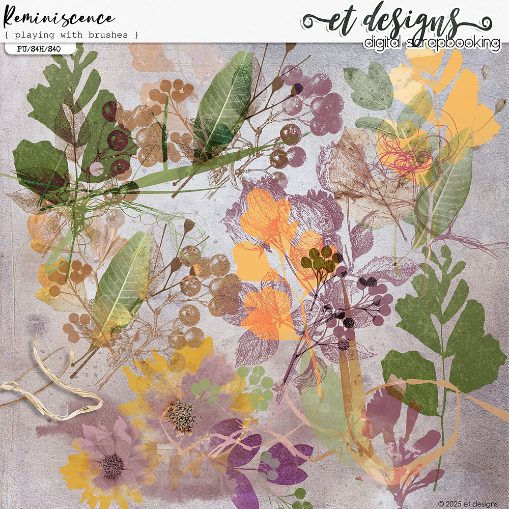 Reminiscence Playing with Brushes by et designs