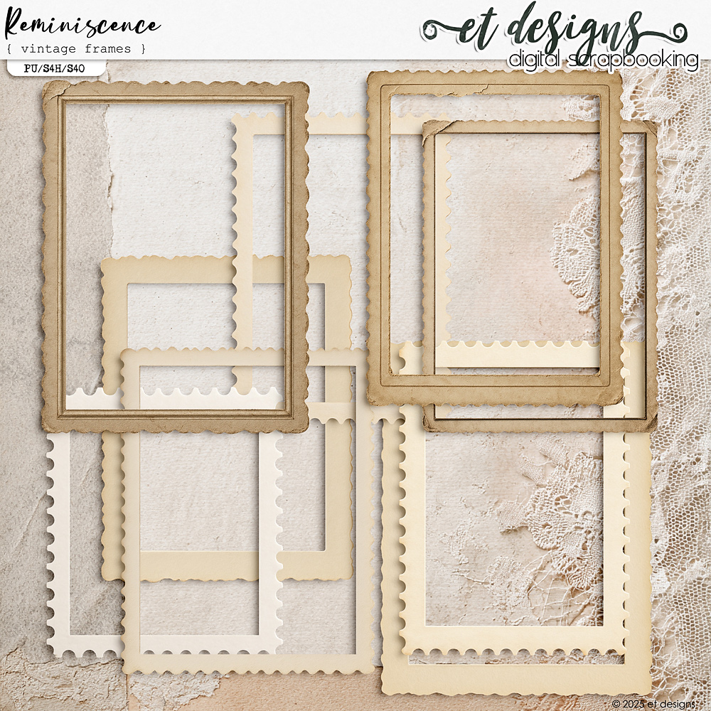 Reminiscence Vintage Frames by et designs