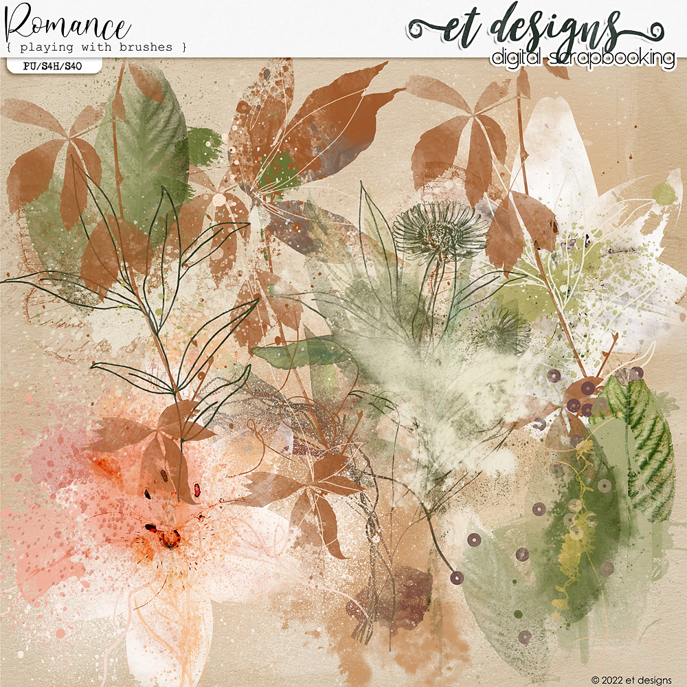 Romance Playing with brushes by et designs