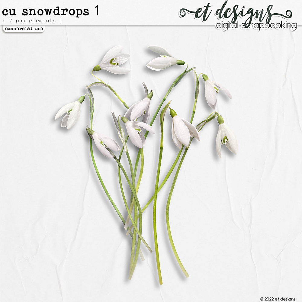 CU Snowdrops 1 by et designs